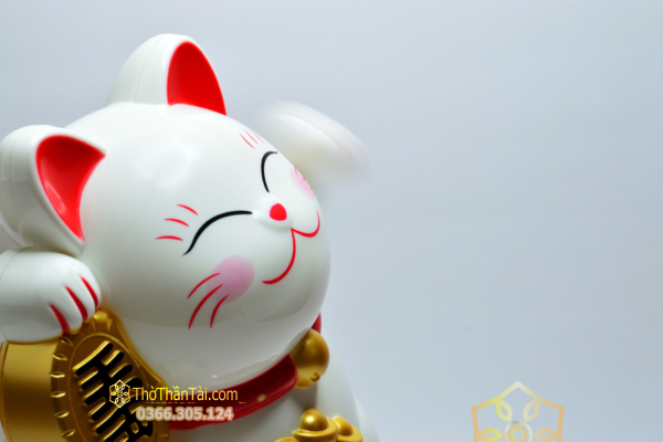Hình nền mèo Thần Tài cho máy tính – mẫu 29