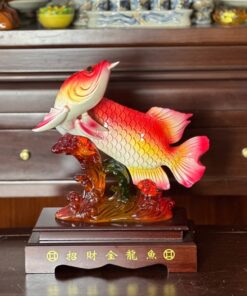 Cá Huyết Long Phong Thủy