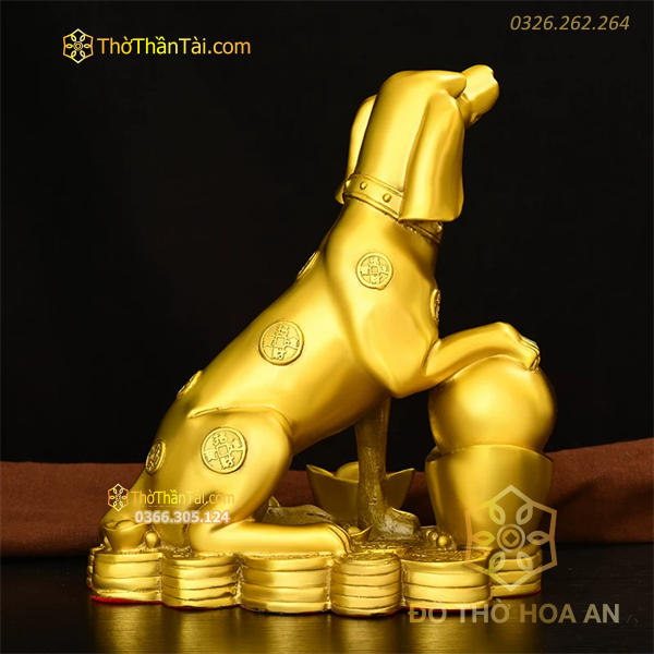 Chó Ngồi Ôm Thỏi Vàng