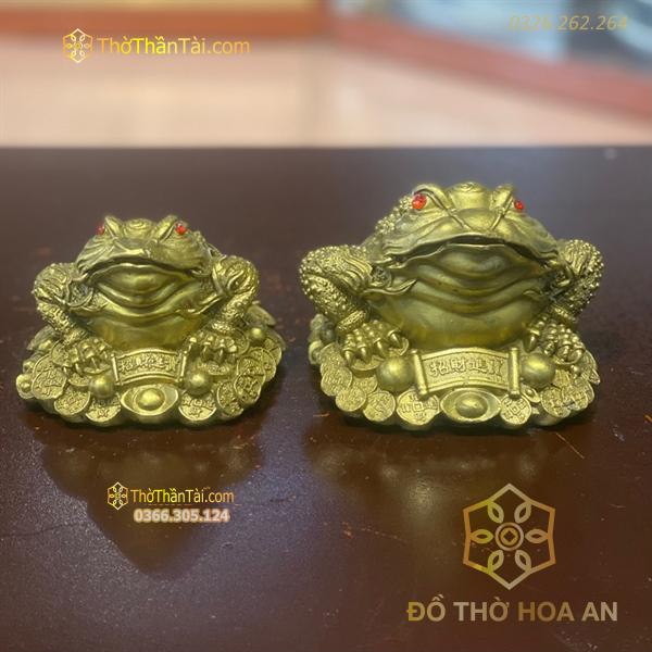 Cóc Thiềm Thừ Đồng Đứng Trên Dải Tiền Vàng