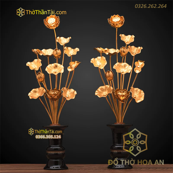 Hoa Sen Đồng 11 Cành Đài Loan