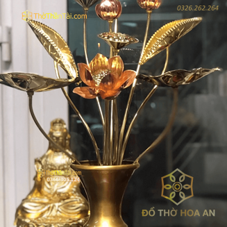 Bó Hoa Sen 11 Cành Đồng Đài Loan Cao 70cm
