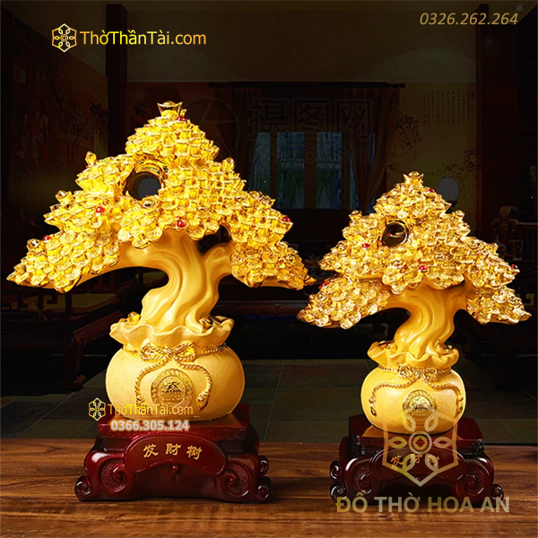 Cây Vàng Kim Tiền Chiêu Tài