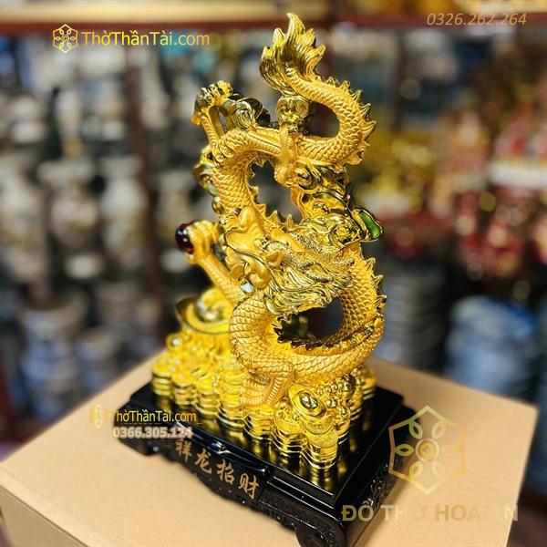Rồng Vàng Nắm Long Châu