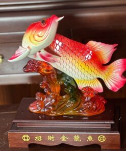 Cá Huyết Long Phong Thủy