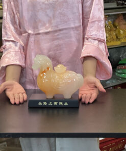 Mã Thượng Hữu Tiền