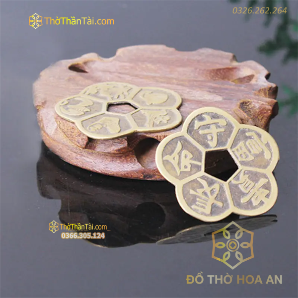 Đồng Tiền Xu Hoa Mai