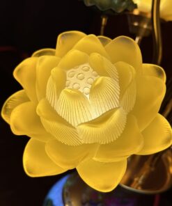 Hoa Sen Lưu Ly