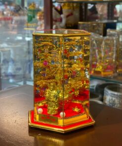 Cây Cành Vàng Lá Ngọc Chiêu Tài