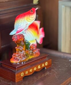 Cá Huyết Long Phong Thủy