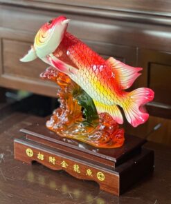 Cá Huyết Long Phong Thủy