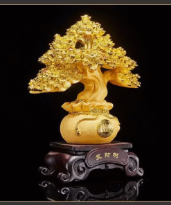 Cây Vàng Kim Tiền Chiêu Tài