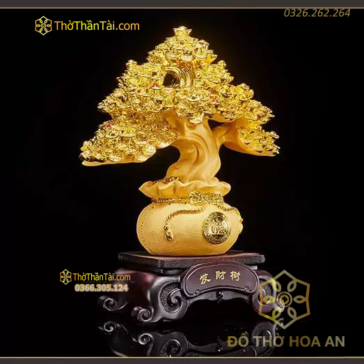 Cây Vàng Kim Tiền Chiêu Tài