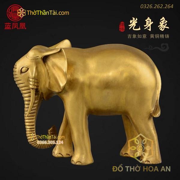 Voi Đồng Phong Thủy