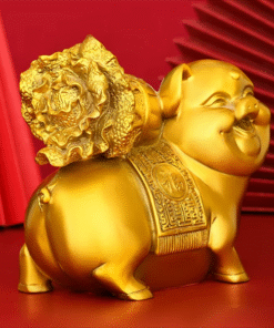 Heo Cõng Bắp Cải