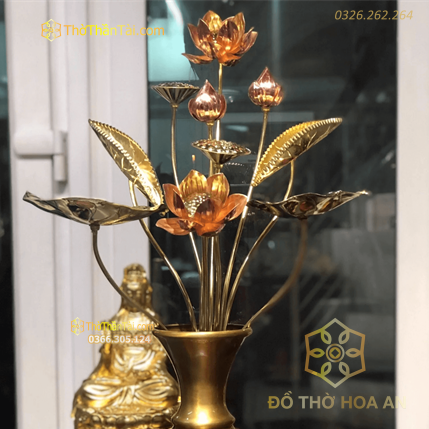 Bó Hoa Sen 11 Cành Đồng Đài Loan Cao 70cm