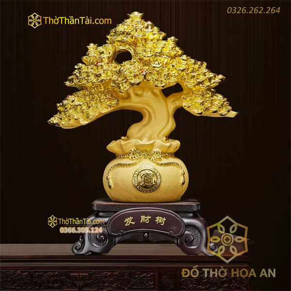 Cây Vàng Kim Tiền Chiêu Tài