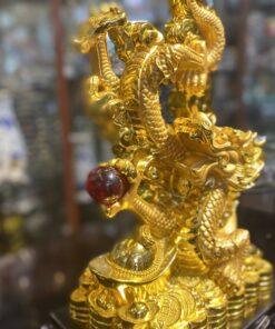 Rồng Vàng Nắm Long Châu