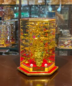 Cây Cành Vàng Lá Ngọc Chiêu Tài